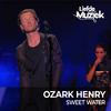 Ozark Henry - Vuurwerk - Uit Liefde Voor Muziek (Live)