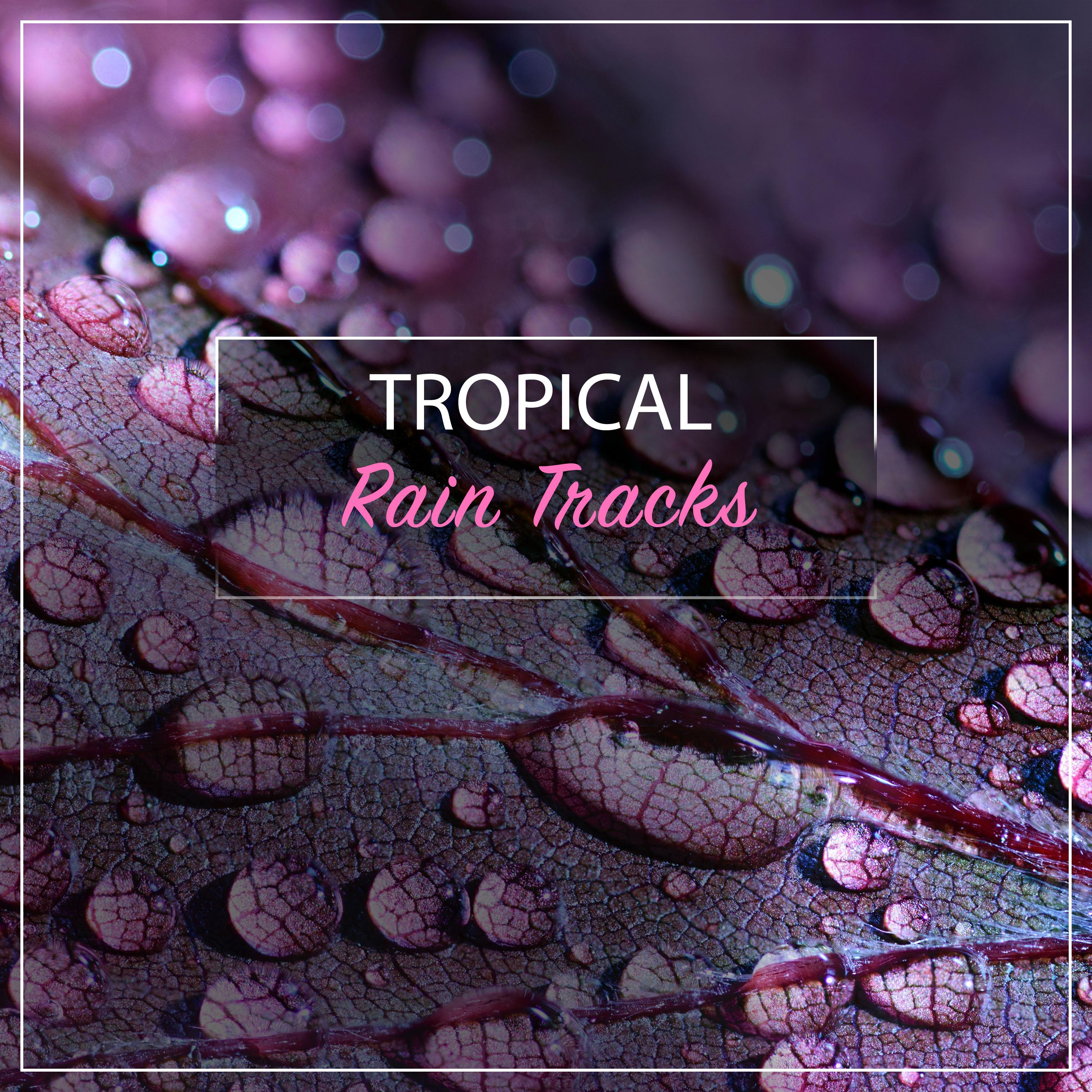 #2019 Tropical Rain Tracks专辑