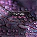 #2019 Tropical Rain Tracks专辑