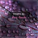 #2019 Tropical Rain Tracks专辑