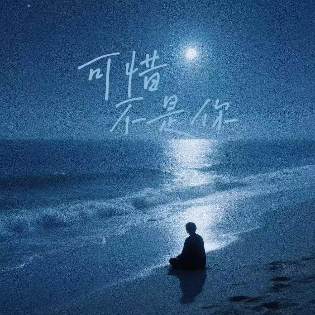 可惜不是你