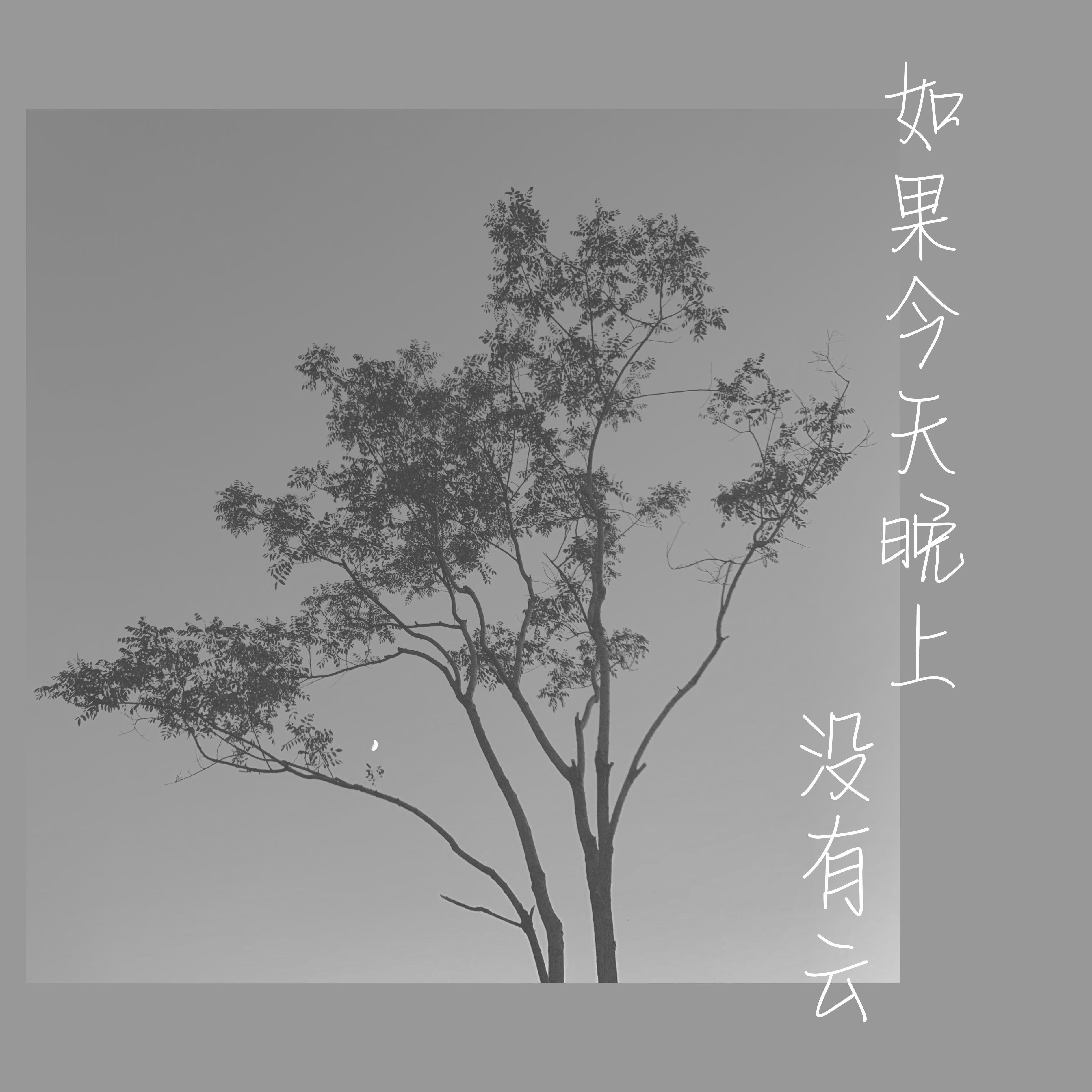 如果今天晚上没有云