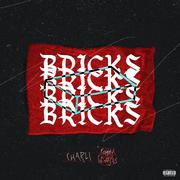 Bricks