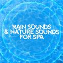 Rain Sounds & Nature Sounds for Spa专辑