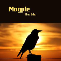 Magpie(Demo)