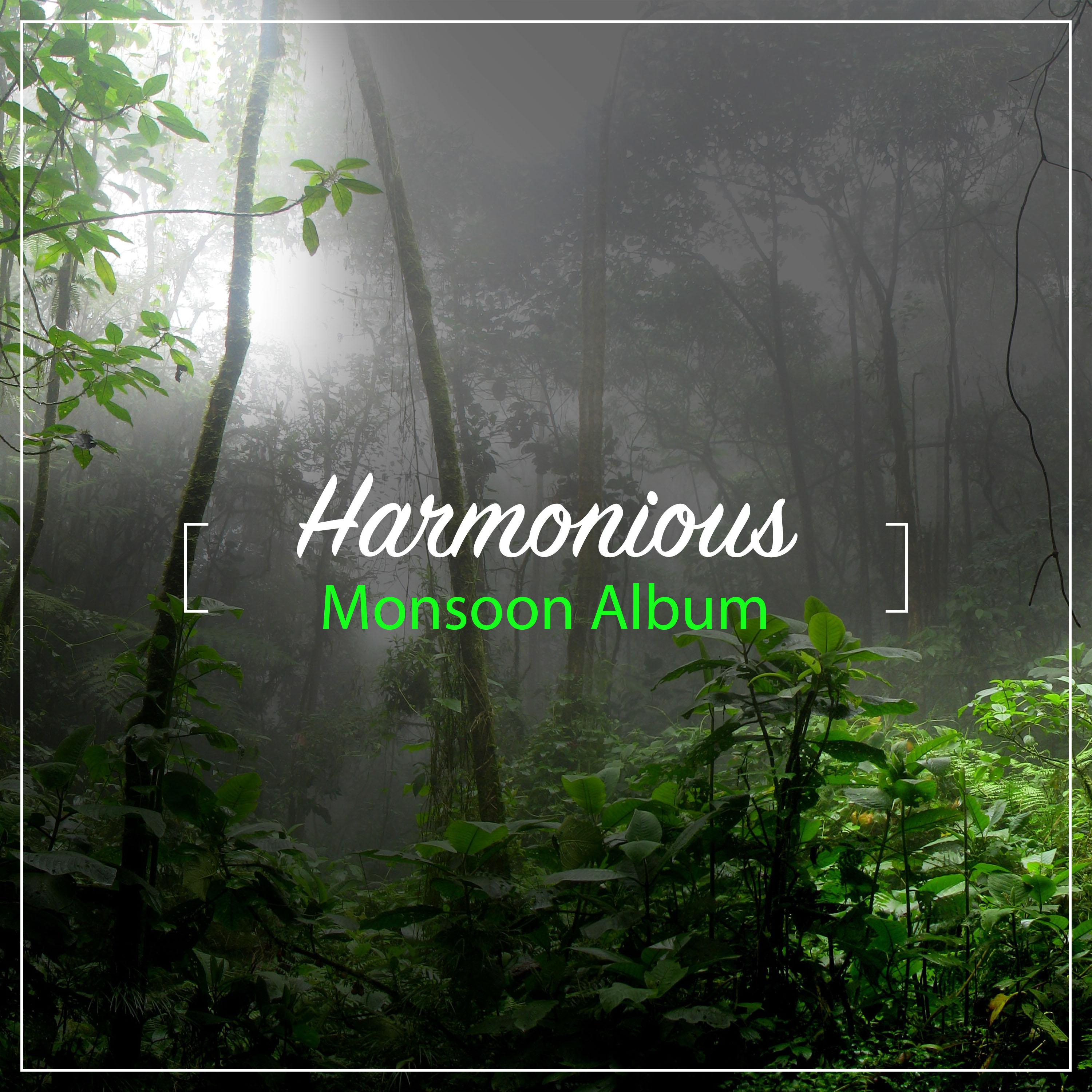 #17 Harmonious Monsoon Album专辑