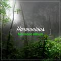 #17 Harmonious Monsoon Album