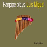 Luis Miguel - Tu Mi Delirio (Karaoke Version)