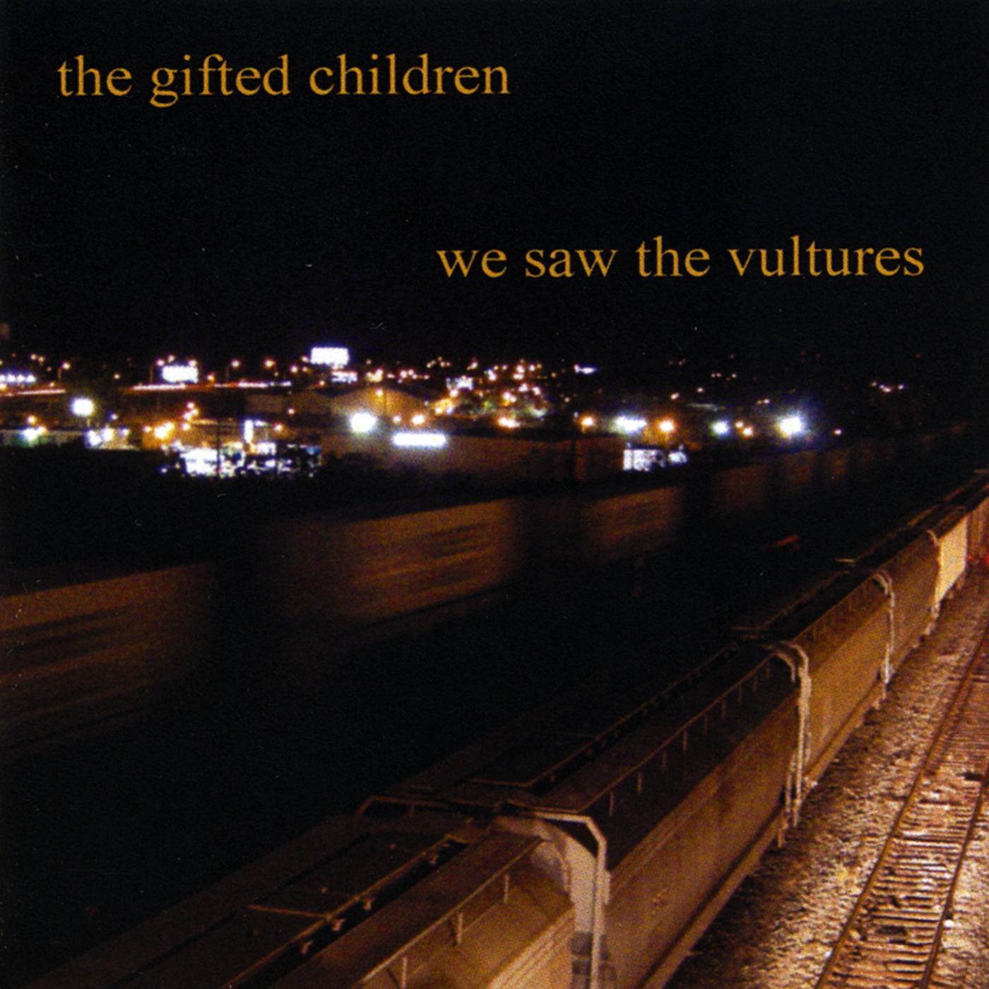 we saw the vultures