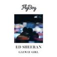Galway Girl (Flyboy Remix)