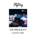 Galway Girl (Flyboy Remix)