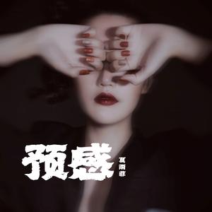 夏雨菲 - 预感 （原版伴奏）