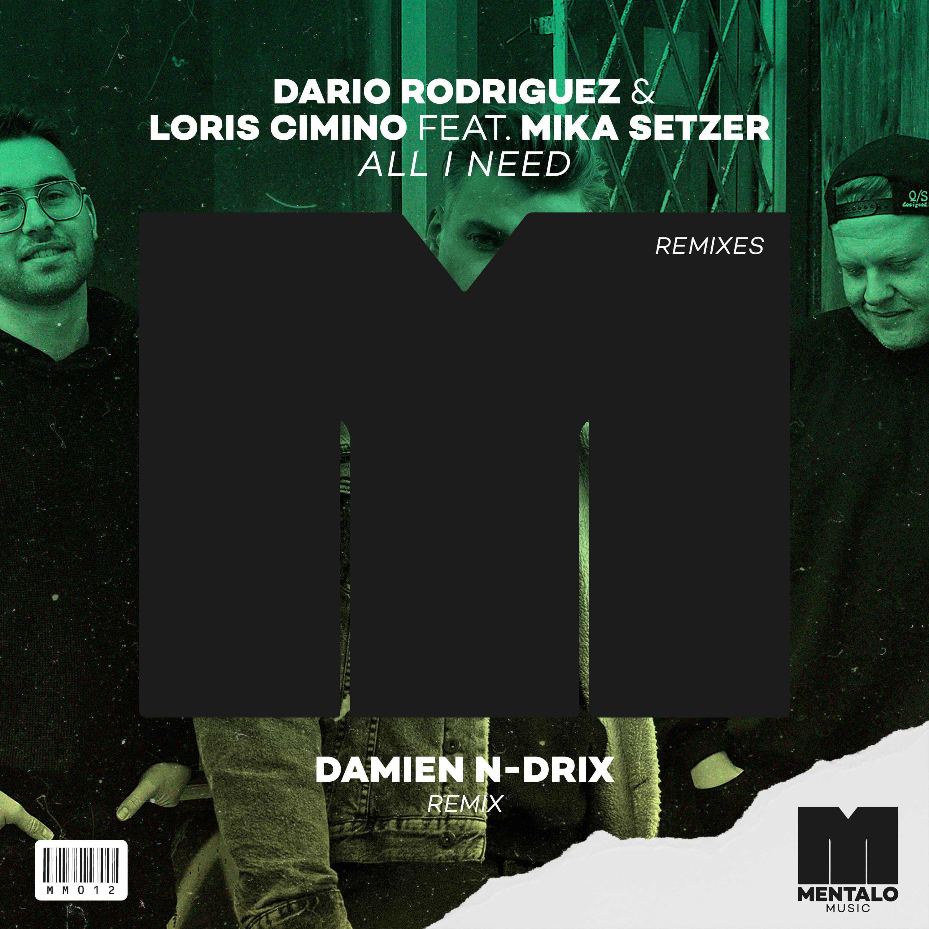 All I Need (feat. Mika Setzer) [Damien N-Drix Remix]