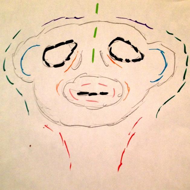 Old World Monkey