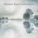 2017 Ambient Rain: Huge Compilation of Rain and Nature Sounds, Best of 2017专辑