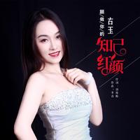 我愿做你一生相知的红颜(男生伴奏)