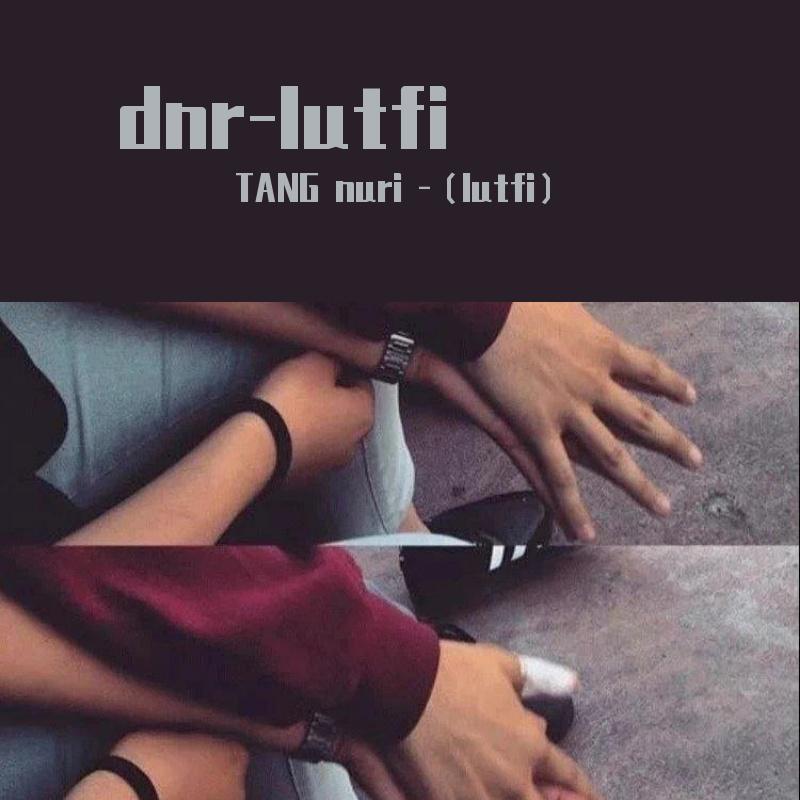 dnr-lutfi