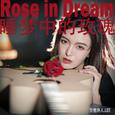 Rose in Dream 梦中的玫瑰
