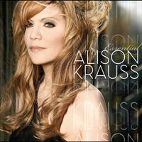 Alison Krauss - Every Time You Say Goodbye (karaoke)