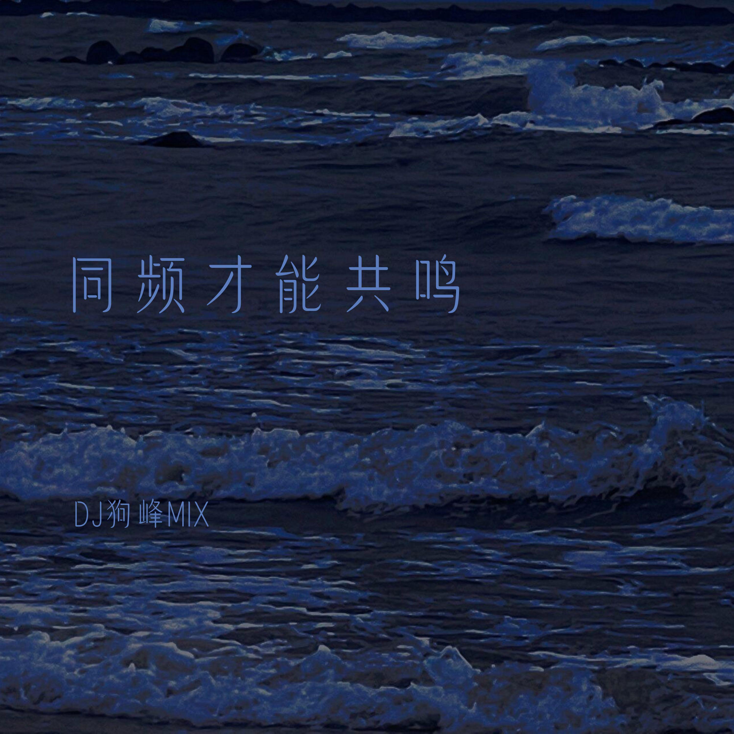 同频才能共鸣