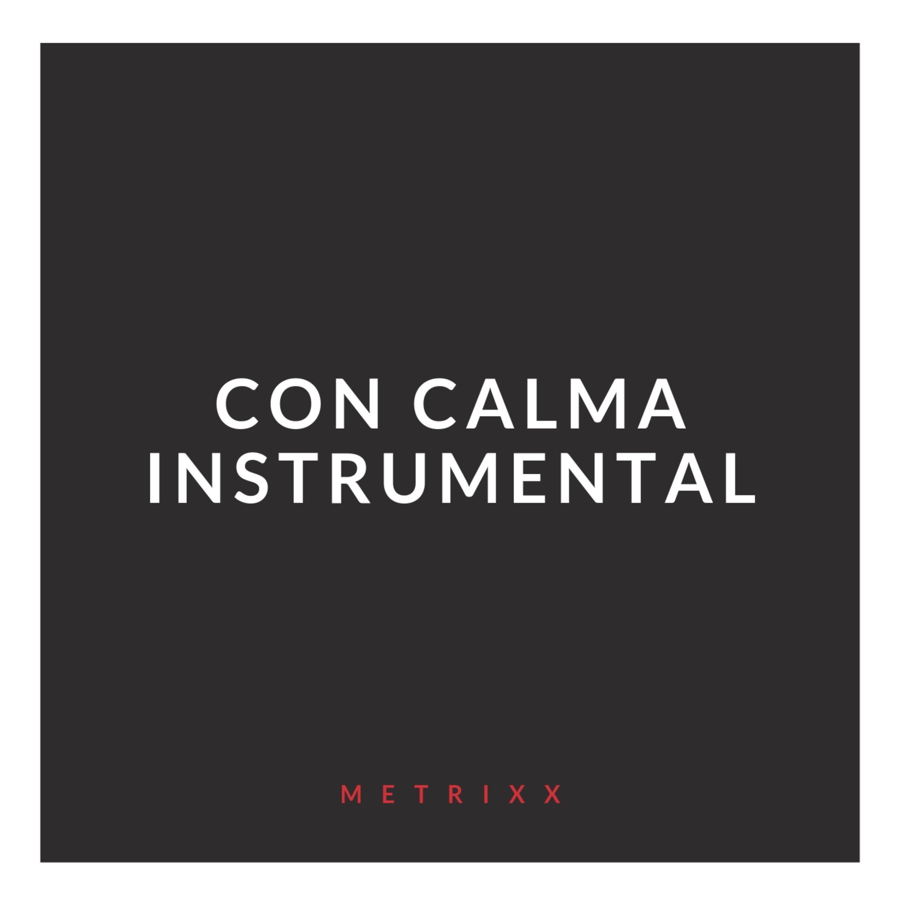 Con Calma (Instrumental)