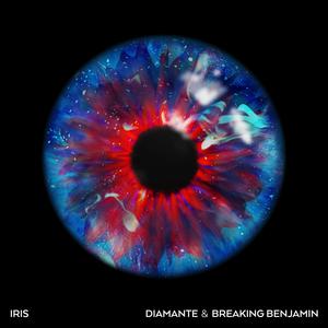 Iris - Diamante & Breaking Benjamin (BB Instrumental) 无和声伴奏 （降5半音）