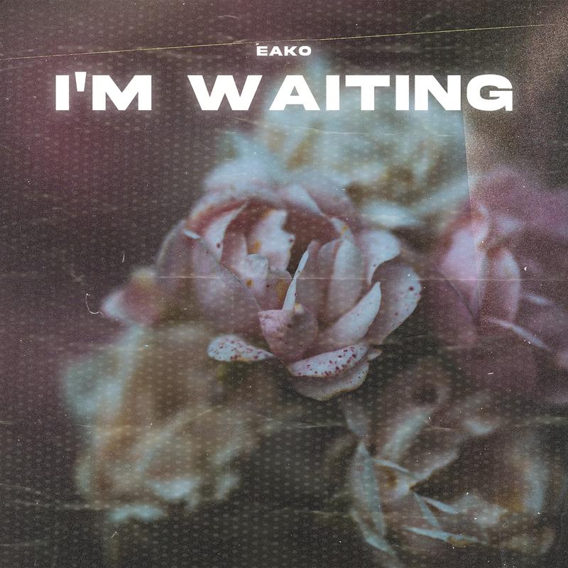 Im Waiting (New Version 2026)