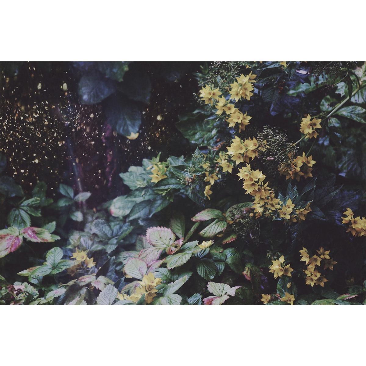 The Cytex-Ride With Me（Monster remix）