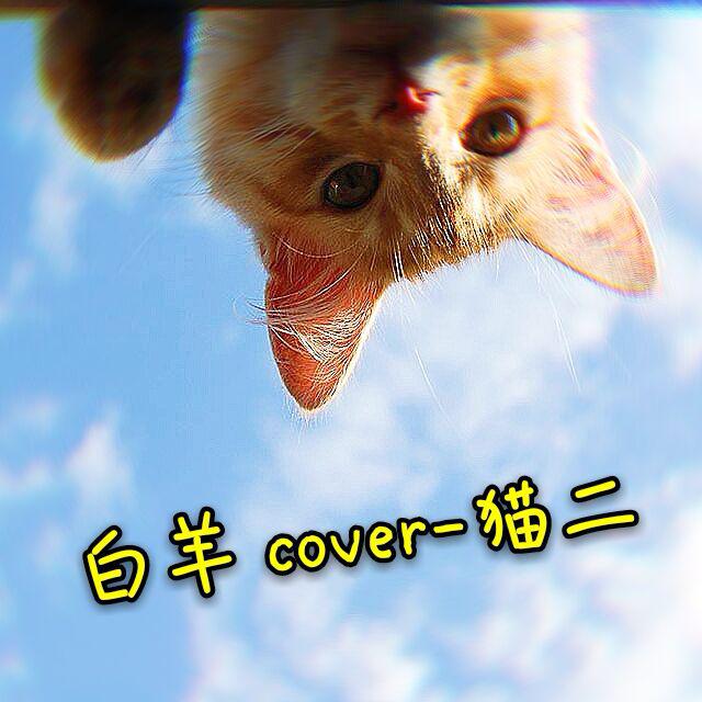 白羊-cover猫二专辑