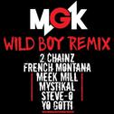 Wild Boy (Remix)