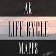 Life Cycle