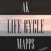 Life Cycle