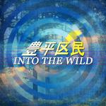 Into The Wild专辑