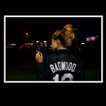 Badwood专辑