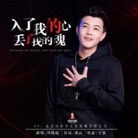 刘晓超 - 入了我的心丢了我的魂(DJ阿远版原版伴奏)