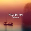 #15 Relaxation Collection for Buddhist Meditation and Yoga专辑