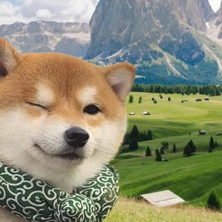 前奏一响，我就知道就该出发旅游了