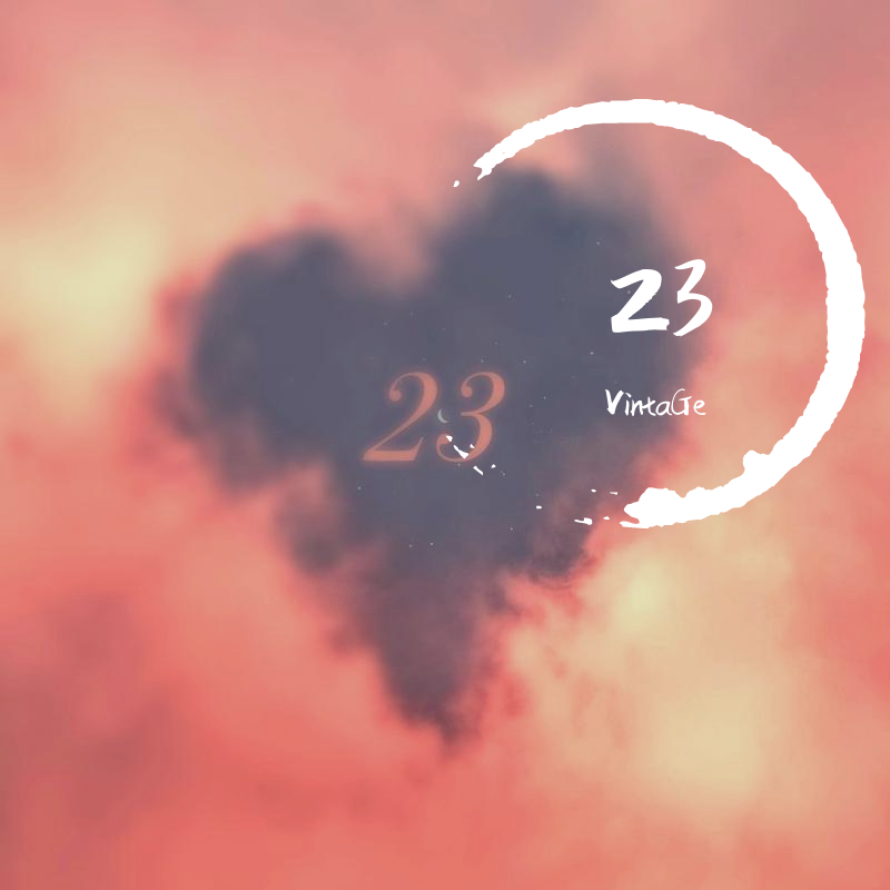 23