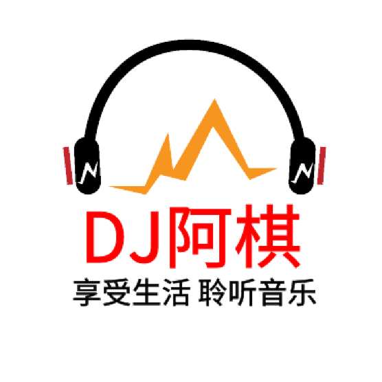 2022抖音热播旋律DJ串烧（阿棋 remix）