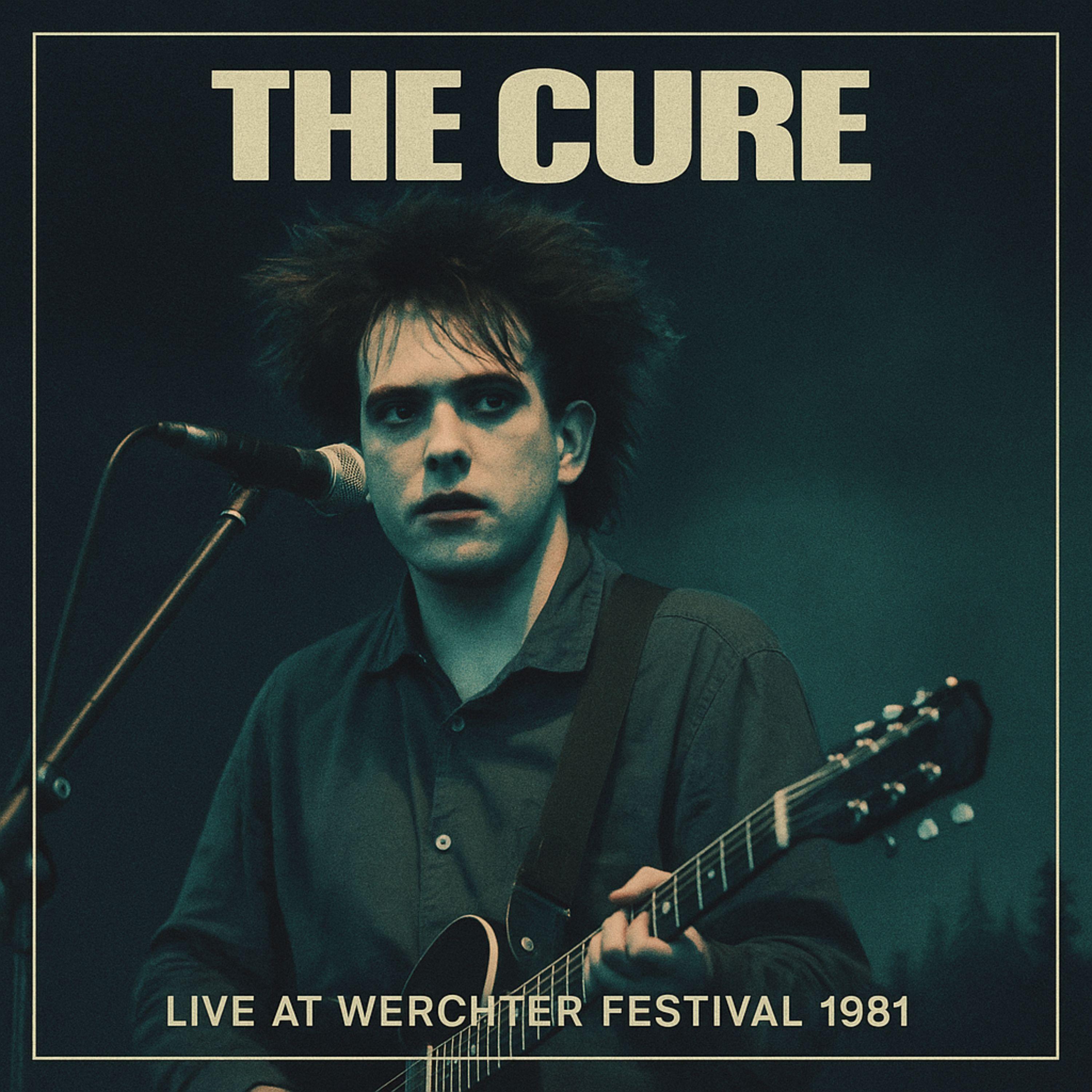Live at Werchter Festival 1981