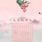 一夜未眠君知否专辑