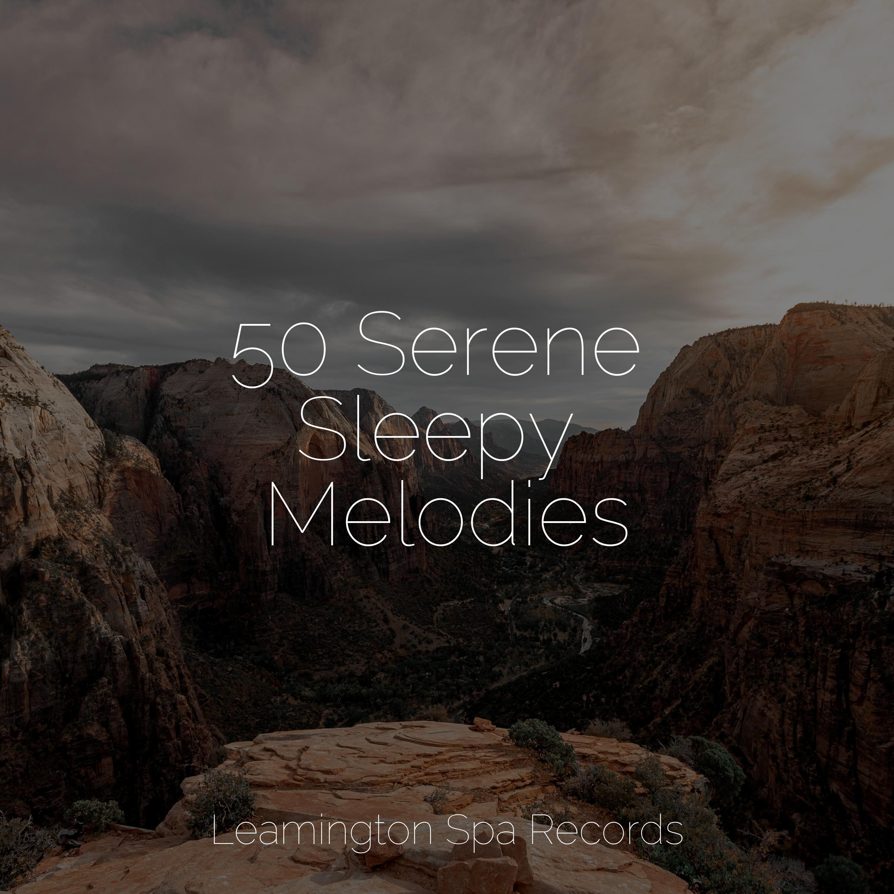 50 Serene Sleepy Melodies