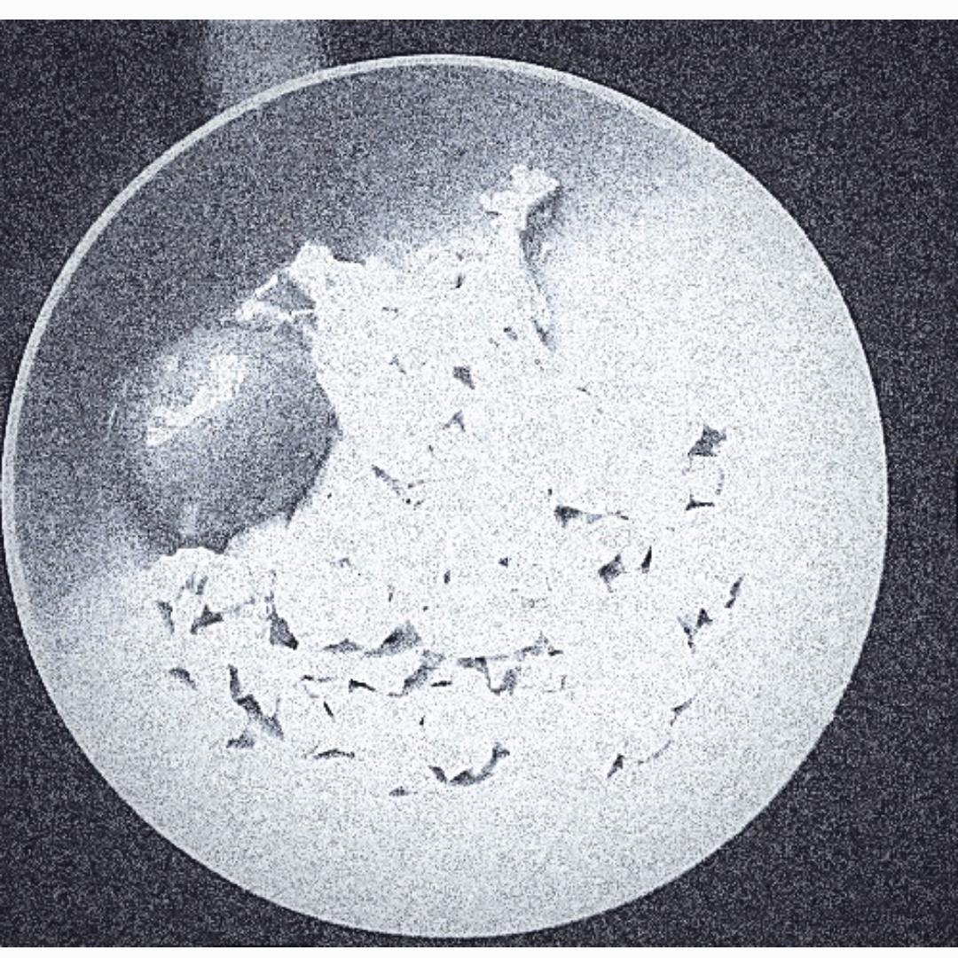 KILL P.A.001【1 year of plan3et 35】