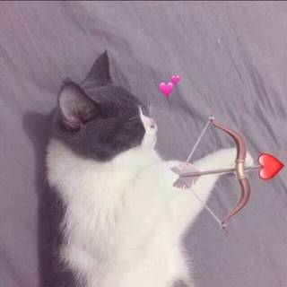 所有的不期而遇，不过是一个人的蓄谋已久