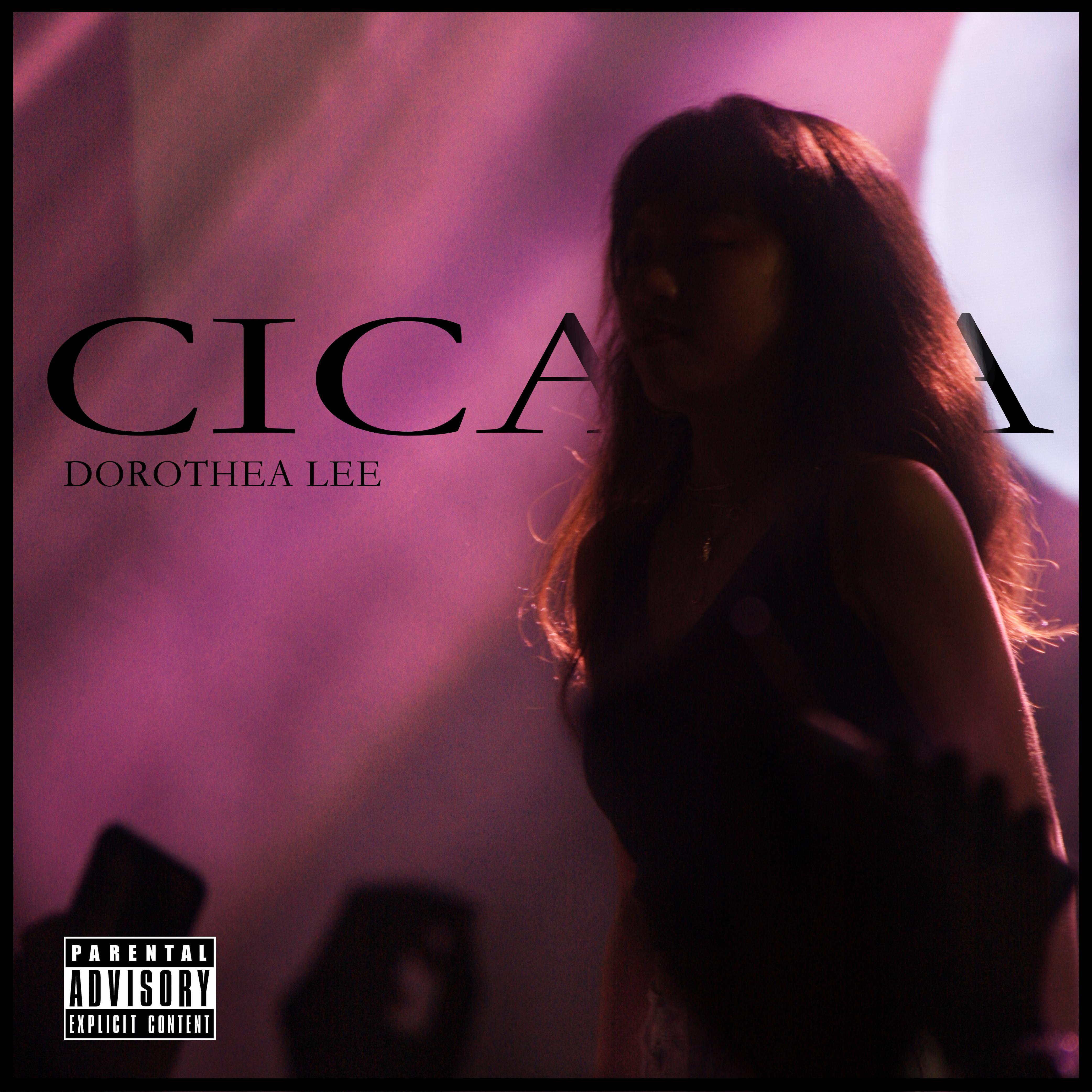 CICADA（demo)
