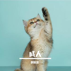 刘德斌 - 长大成人（沧桑男声）(伴奏).mp3