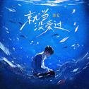 就当没爱过专辑