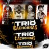DJ Gallo Beats - Trio das Cachorras (feat. Mc Theus da Cg)
