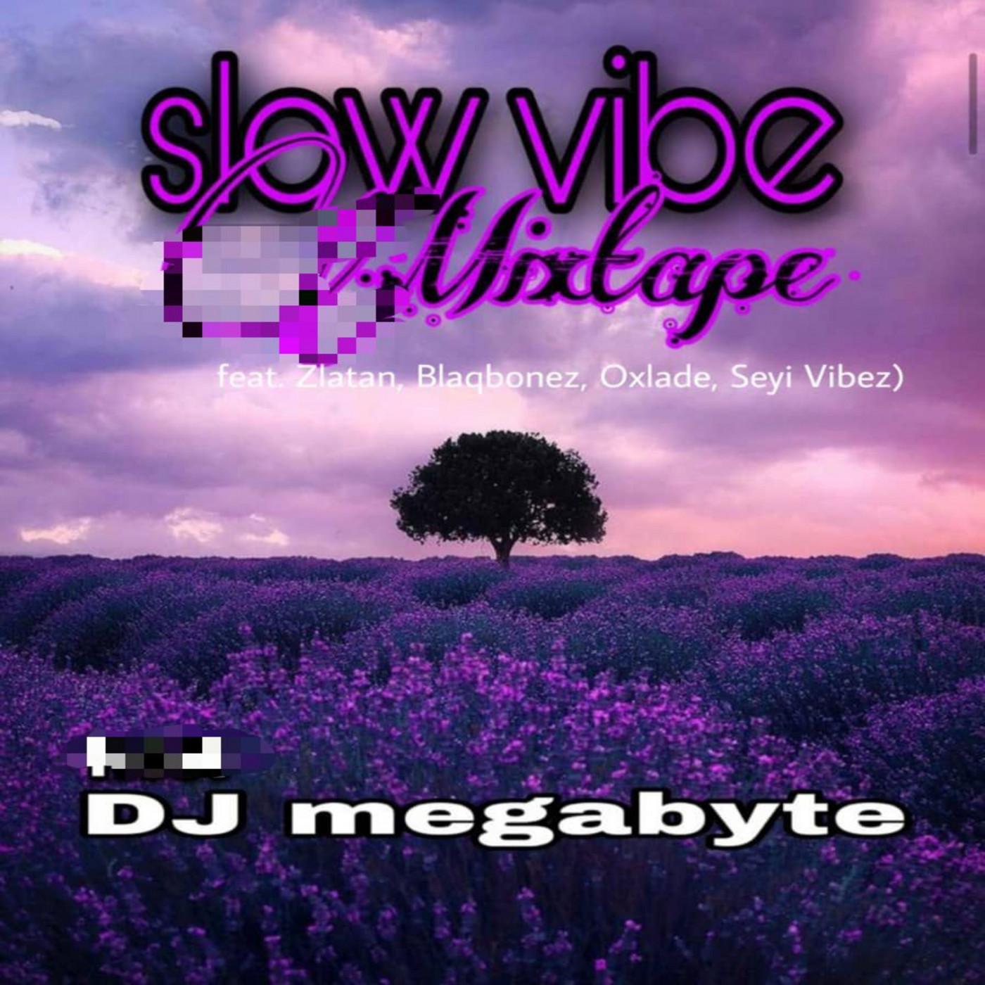 Dj Megabyte - Slow Vibe Mixtape (feat. Zlatan, Blaqbonez, Oxlade, Seyi Vibez)