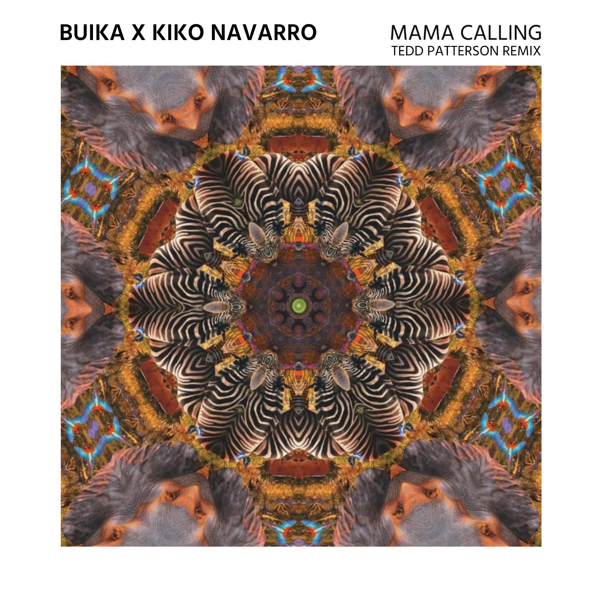 Buika - Mama Calling (Tedd Patterson Remix - Edit)